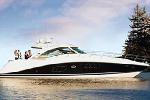 Luxury Charter Power Mono Yacht Dolphin 