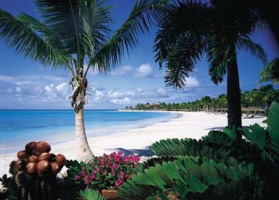 Caribbean Destinations - St Barths