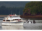 Luxury Charter Motor Yacht Alaskan Story 