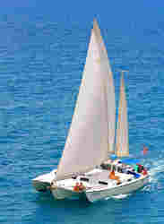 Luxury Charter Catamaran Yacht Opus 