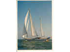 Luxury Charter Sailing Yacht Sailing T 